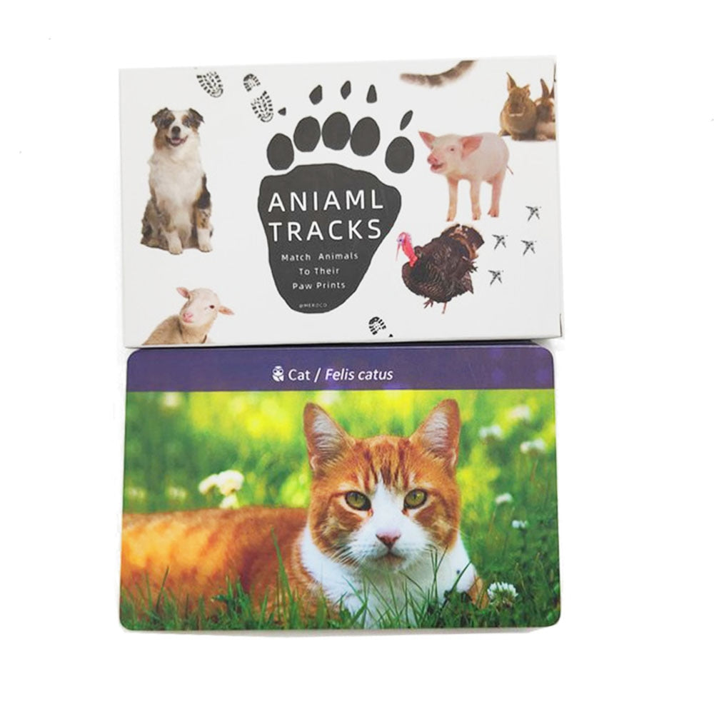 72PCS Montessori Flash Cards Animals  Footprints Montessori English Learn Card Early Educational Toy Memory Game for Children